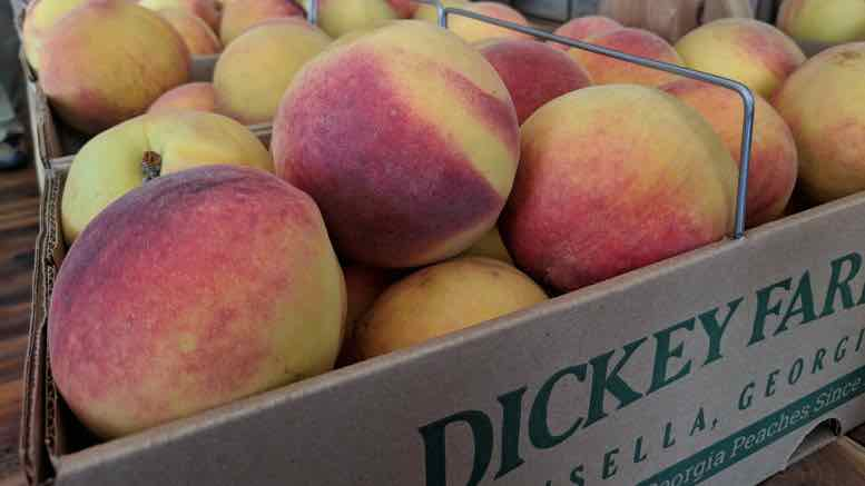 Georgia Peaches at Dickey Farms